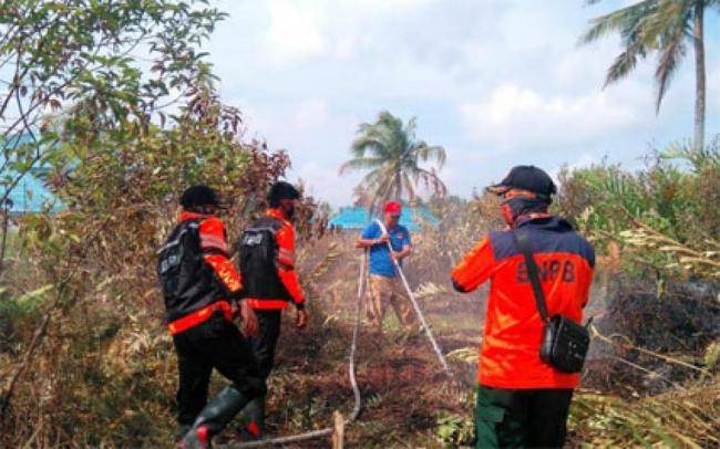 Turunkan 13 Personil, BPBD Inhil Padamkan Karhutla di Kecamatan Kateman